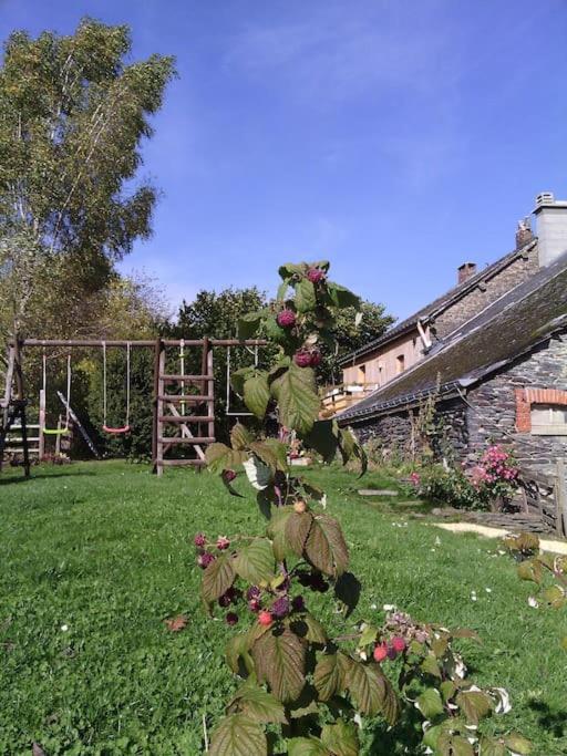 Gite Les 7 Frenes Vaux-sur-Sure Exteriér fotografie