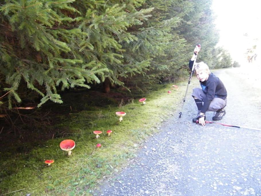 Gite Les 7 Frenes Vaux-sur-Sure Exteriér fotografie